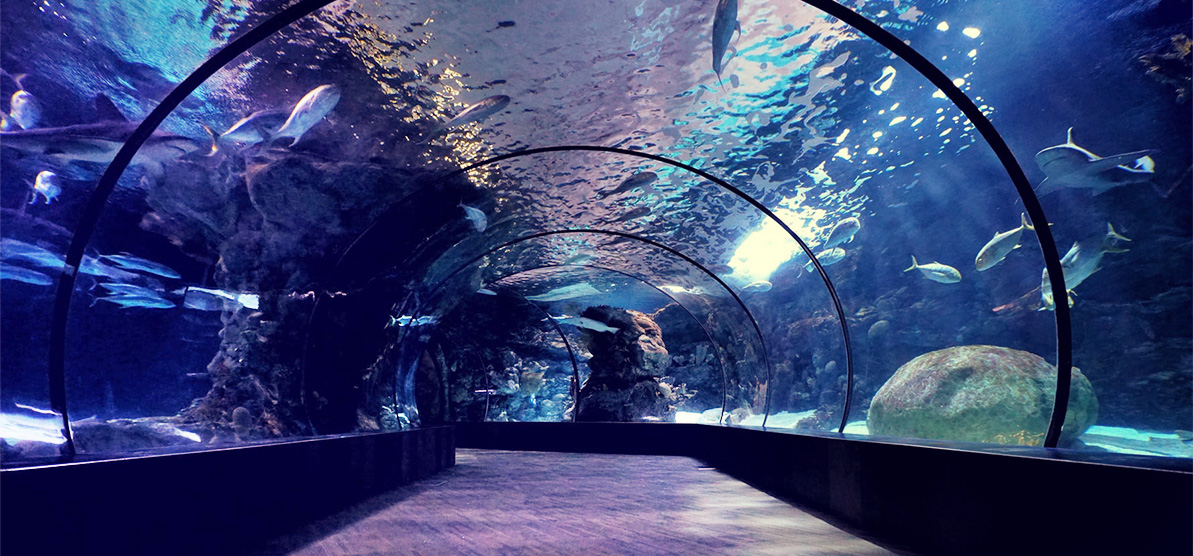 <b>�����ϵͳ��Ƽ�ˮ�ʴ��óͷ��ƻ�</b>