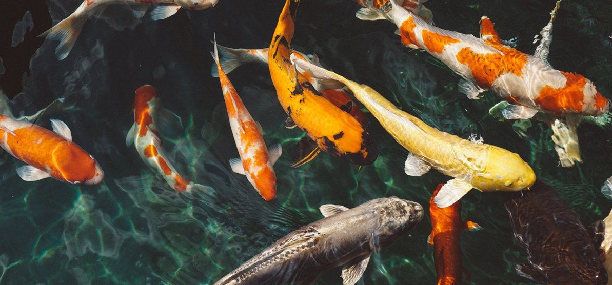 ���ѭ��ˮ����ϵͳ���ͼ����������������