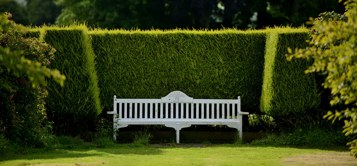 ��԰һվʽ����