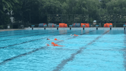 97���������Ӿ��,97�������Ӿ��������������Ӿ����Ӫ����