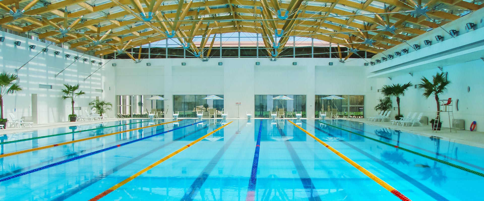 �����������-97���������Ŀ����