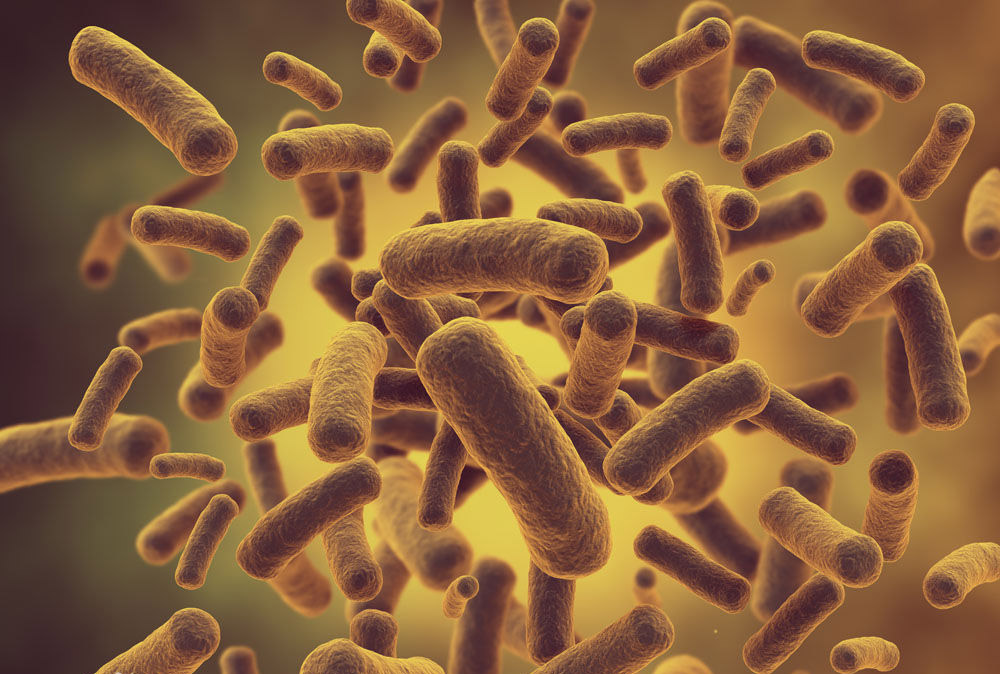 97����-����Ʒ��,Դ������