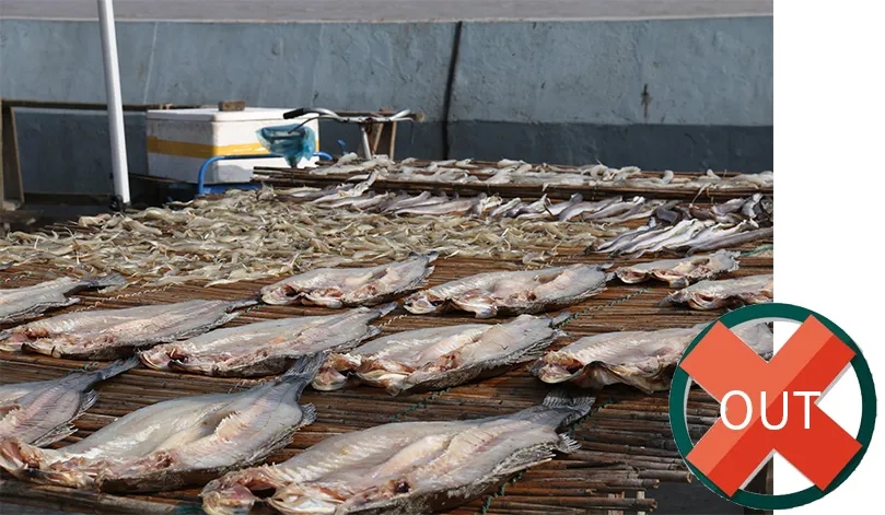 97����-����Ʒ��,Դ������