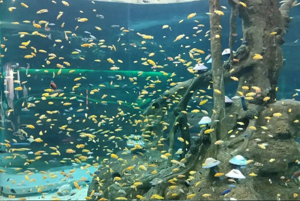 �����ϵͳ���,�����ˮ�ʴ��óͷ��ƻ�