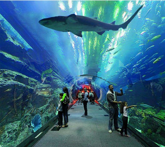 <b>�����ˮ���������ã���������������ˮ���óͷ�ϵͳ��Ҫ����</b>