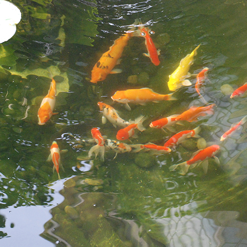 ���ˮ�ʴ��óͷ�