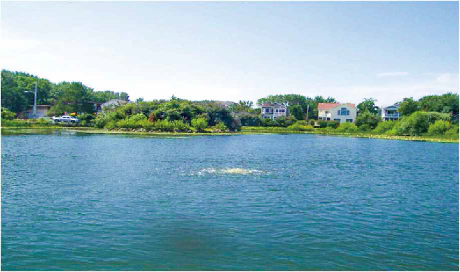 97����-����Ʒ��,Դ������