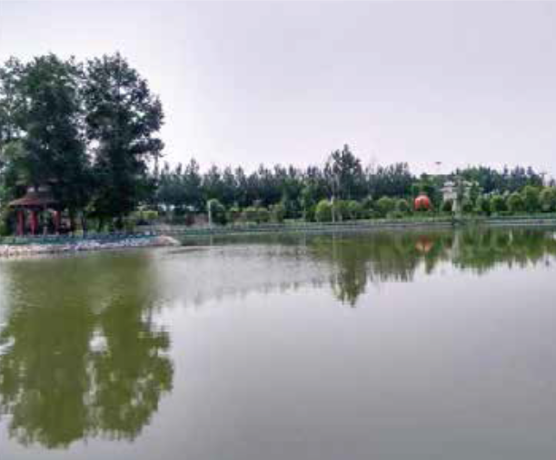 �˹���,�˹�������