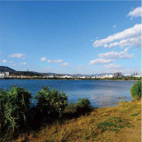 �˹�������