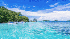 <b>��ʲô���ѡ�С��������Ӿ�أ�����������������������������󺣣���������������</b>