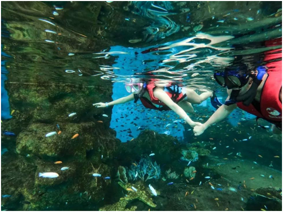 ��Ǳ�����,��Ǳ��,���ڸ�Ǳ�����