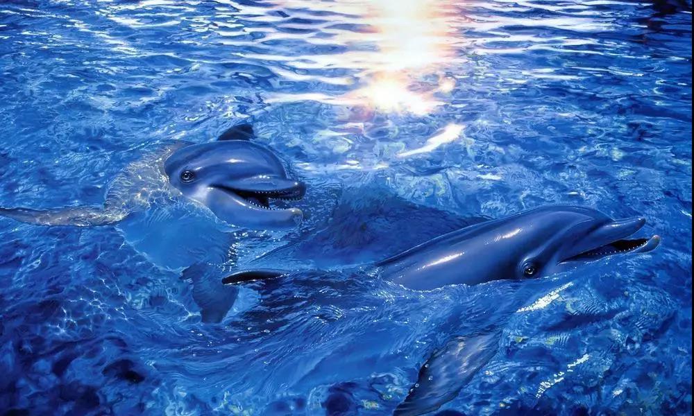 �����ˮ�ʴ��óͷ�����ƻ�,�����ˮ�ʴ��óͷ�,�����ˮ���óͷ�ϵͳ