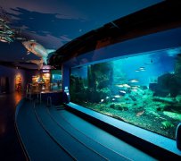 �������ô�������������ע���⼸��Ҫ�㣬�������������������Ʒ�ʺ������£�