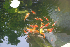 <b>����������ע��������Ҫ�㣿����������</b>