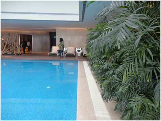 ±ðÊû½¨Ó¾³Ø