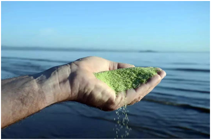 ��Ӿ�ع�������,Ӿ������