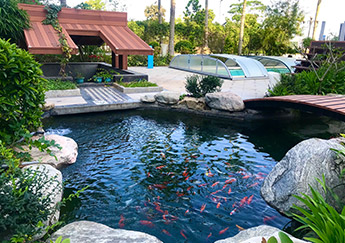 97����-����Ʒ��,Դ������