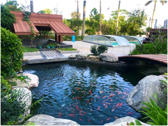 С���������,ˮ�����