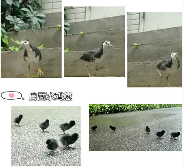 <b>97������ʿƼ�԰����ʵ�ж�������������������Ȼ������һ�������Ҷ��������������������������Ӫ��կ��</b>