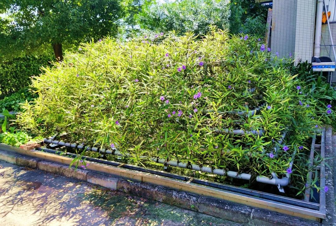 97����-����Ʒ��,Դ������