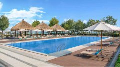 <b>��Ӿ��ˮ�ʻ��ǵ�Ե��ԭ�ɼ����Ҫ��</b>