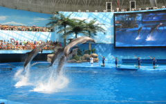 ��������ˮ��ô������������������