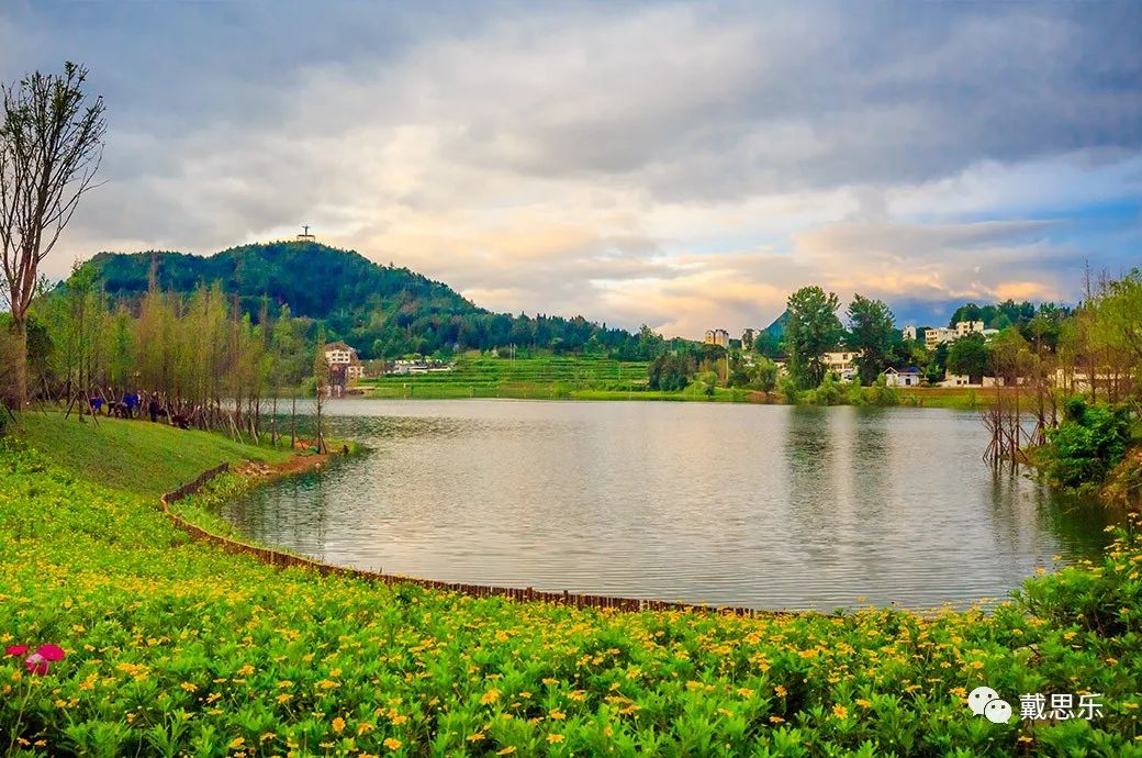 97����-����Ʒ��,Դ������