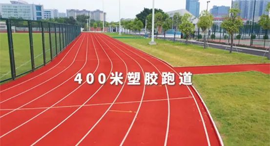 <b>ȷ��������ɽ�⼸��ѧУ���п���Ӿ�������97���������Ӿ�ݣ�</b>