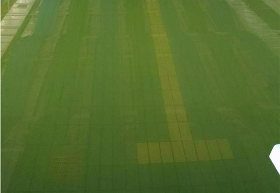 �㶫һ������ǿ������Ϯ������������������Ӿ��ˮ���̡�������ô����������������