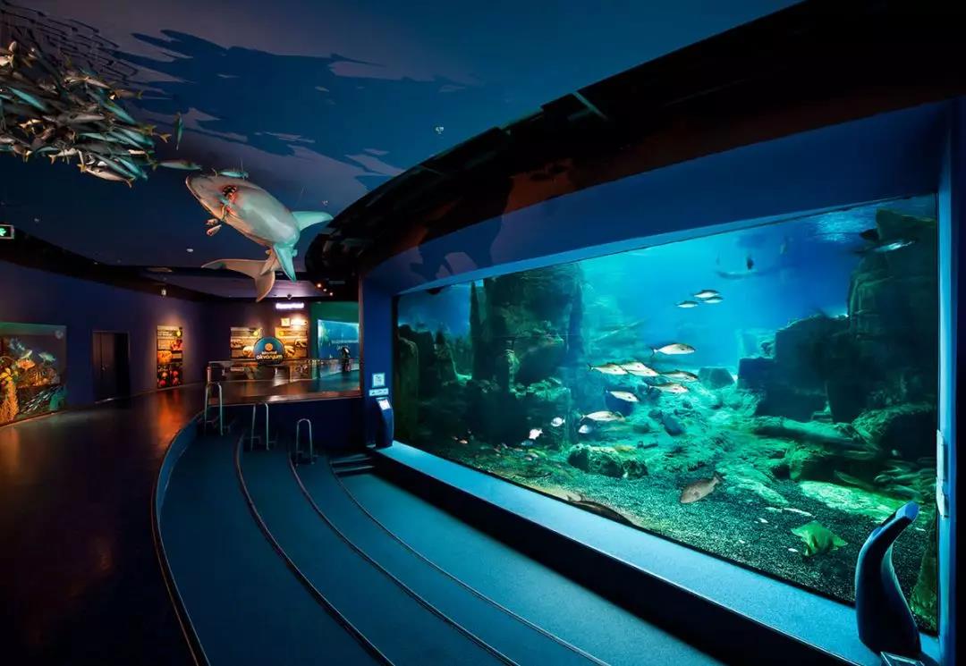 ����������ݴ��쿵����̬��ˮ��������������