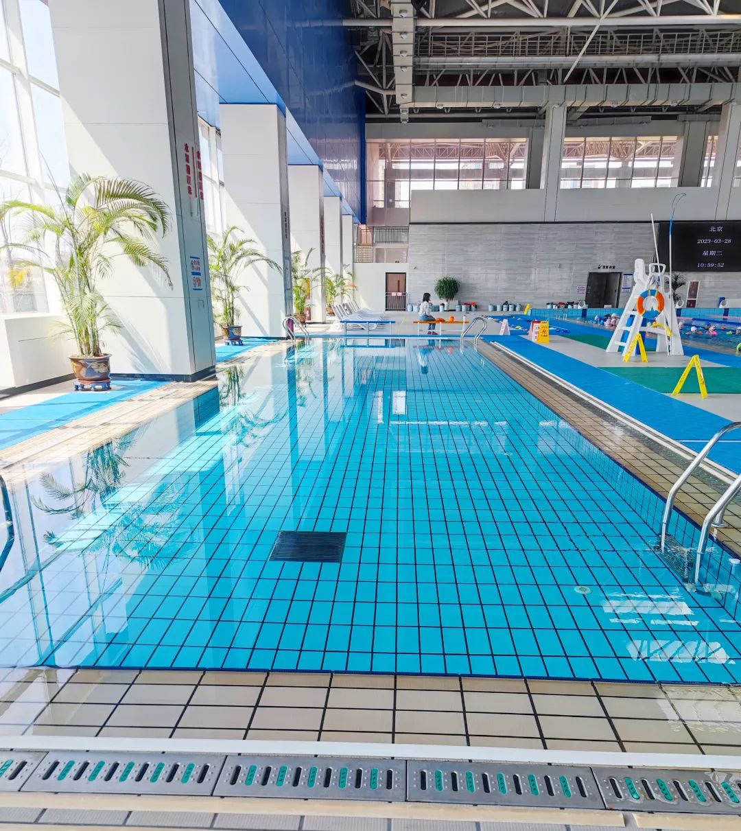 ������Ӿ��