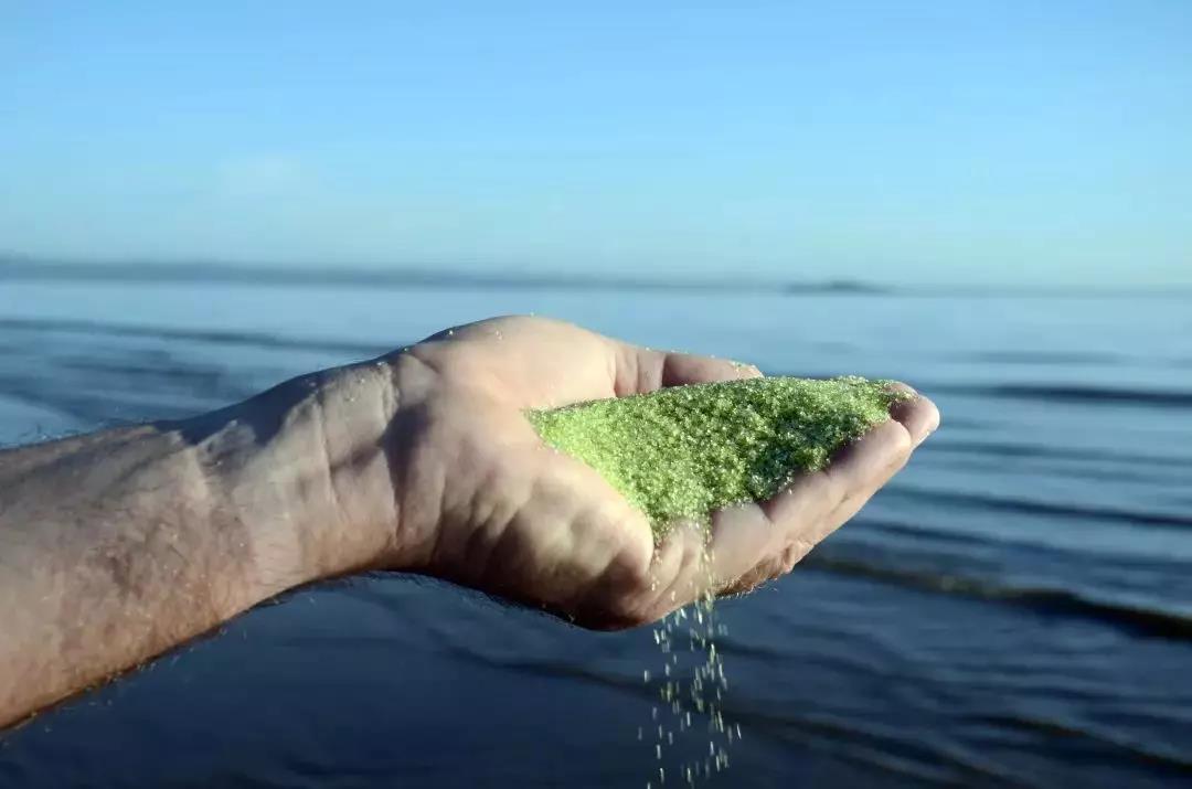 AFM?���Ϻ�ͨ�ײ���������ʲô���𣿣�������������