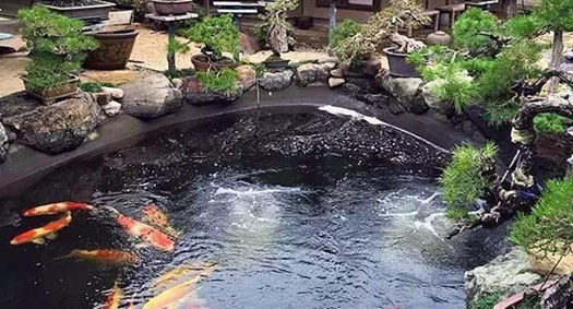 �����������������ƲŻ����õ��������أ�������������