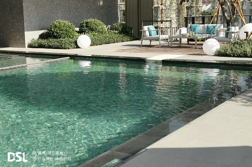 ����Ӿ��