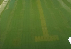 �㶫�������꣡�����Ӿ��ˮ�巢����ô����������������