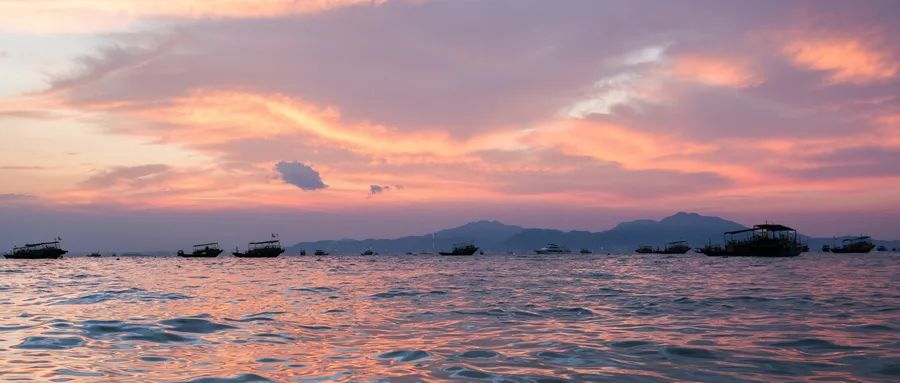 97����-����Ʒ��,Դ������