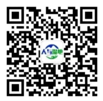 97����-����Ʒ��,Դ������