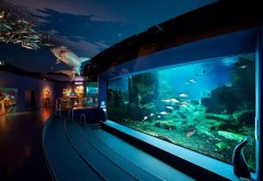 ˮ��ݵĽ�����������Ҫ˼����Щ���أ�������������Ҫ��Щװ���أ�����������