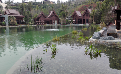 �����˹�����������ô����������������