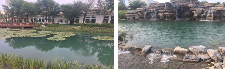 �˹�������,�����˹�������