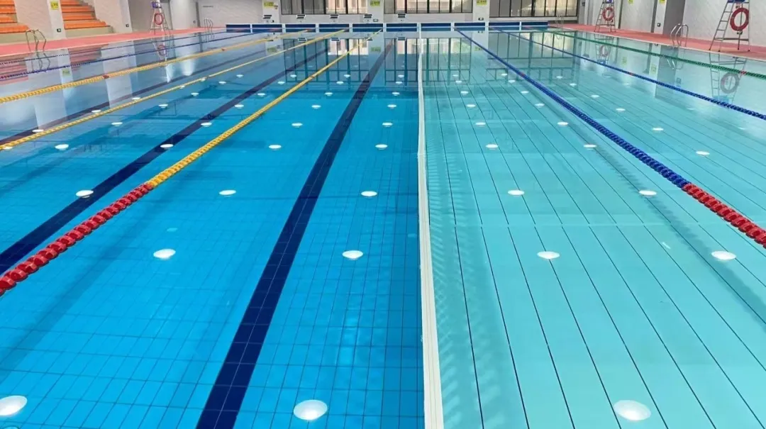 97����-����Ʒ��,Դ������