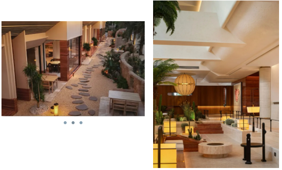 97����-����Ʒ��,Դ������