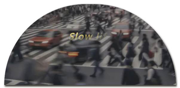 97������ʽ�����