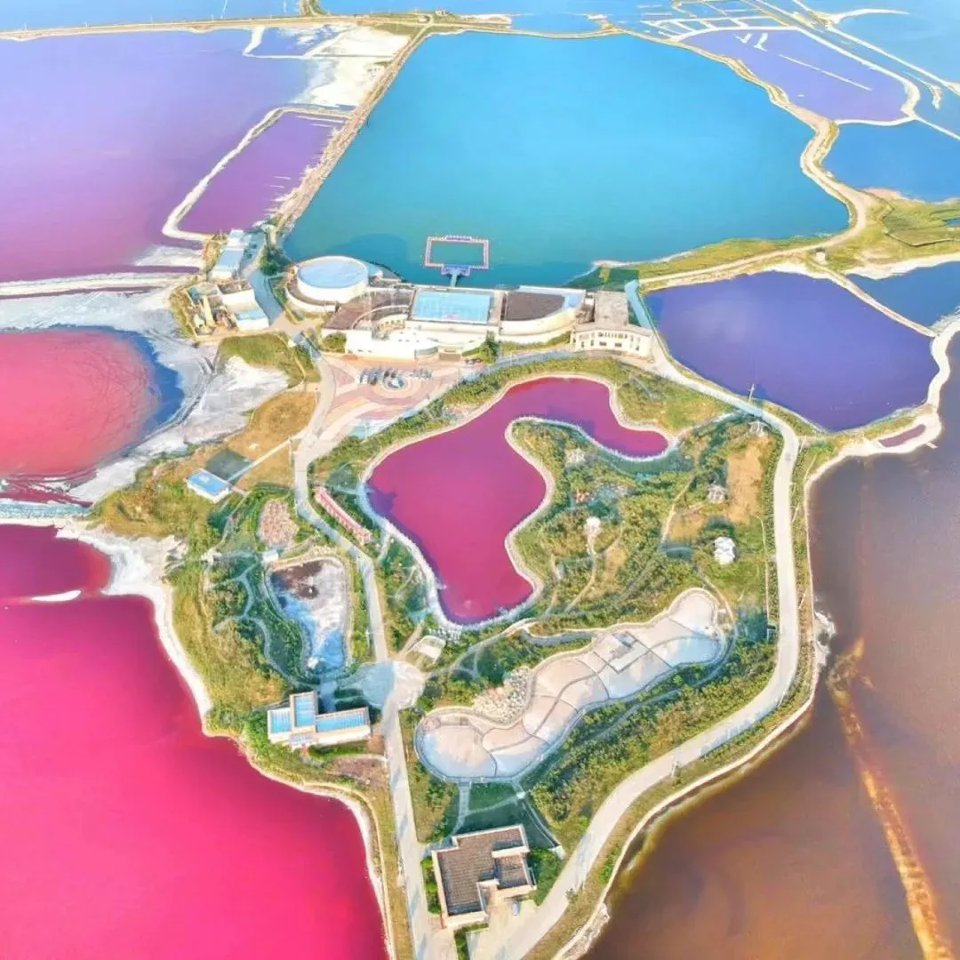 97����-����Ʒ��,Դ������