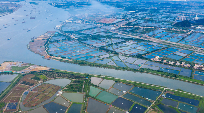 ������ɫ����������������ʵ��βˮ��������̬��Ӯ��������������