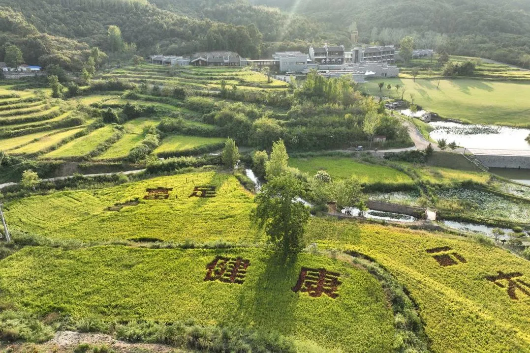 97����-����Ʒ��,Դ������