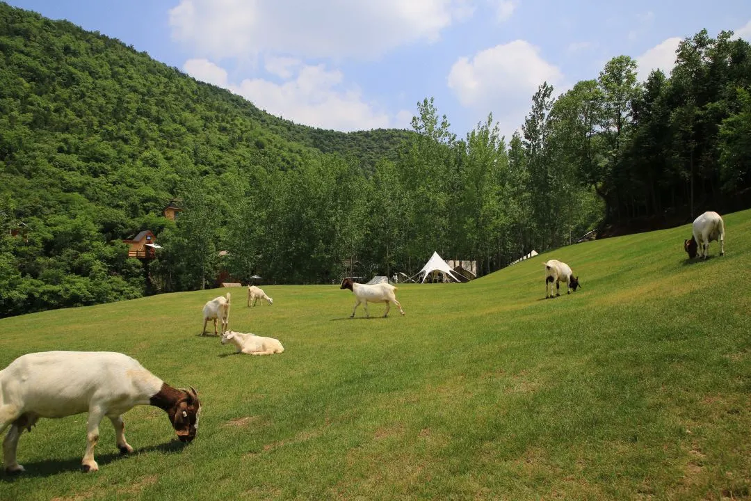 97����-����Ʒ��,Դ������