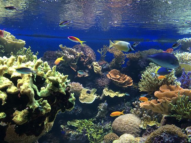 �����ˮ�ʴ��óͷ���˾,�����ˮ���óͷ�,�����ˮ�ʴ��óͷ�װ��