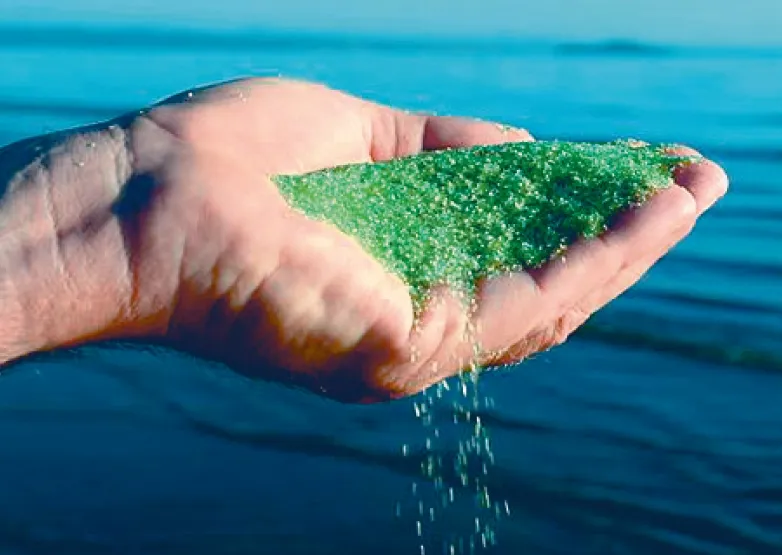 ����ˮ���óͷ�ϵͳ,����ˮ���óͷ�ϵͳˢ��,��Ӿ��ˢ�µ�������