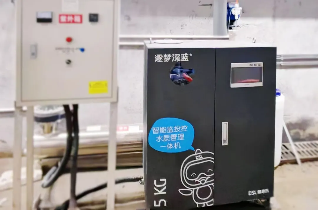 97����-����Ʒ��,Դ������